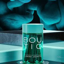 Boutiqswitchca.com