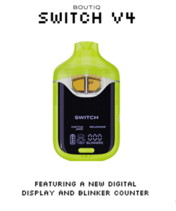 Boutiq Switch V4